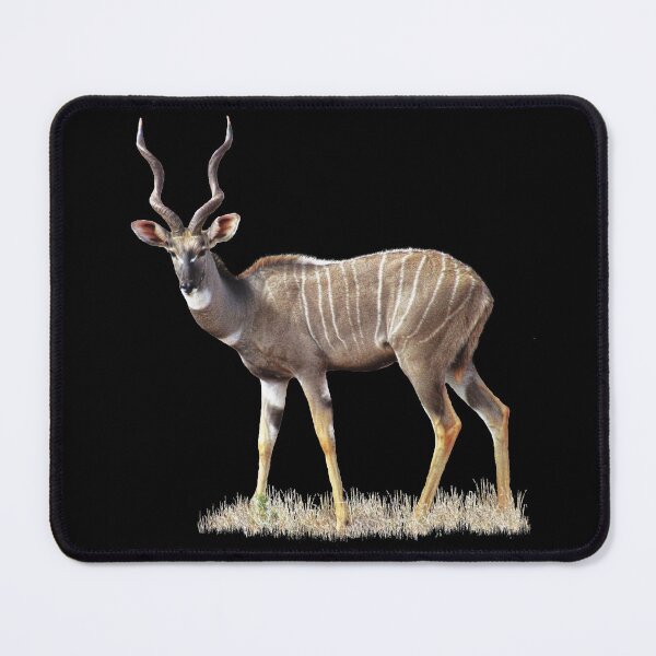 Item preview, Kudu - Little Kudu - Antelope in Kenya / Africa designed and sold by TShirtsundMehr.
