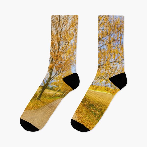 Item preview, Autumn road 2 designed and sold by Veikko  Suikkanen.
