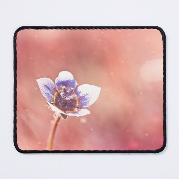 Item preview, Artistic spring Australian Cape bluebell wild flower  designed and sold by hendrikspix.