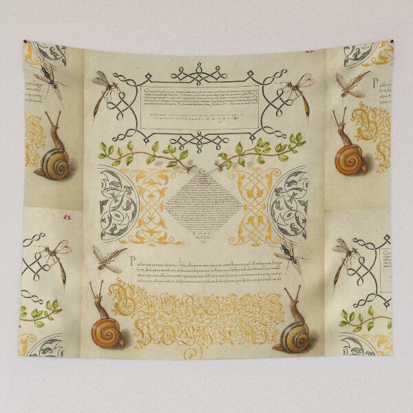 Item preview, Naturalist Manuscript Plants, Snails, and Calligraphy Illumination by Joris Hoefnagel  designed and sold by Naturalist Prints.