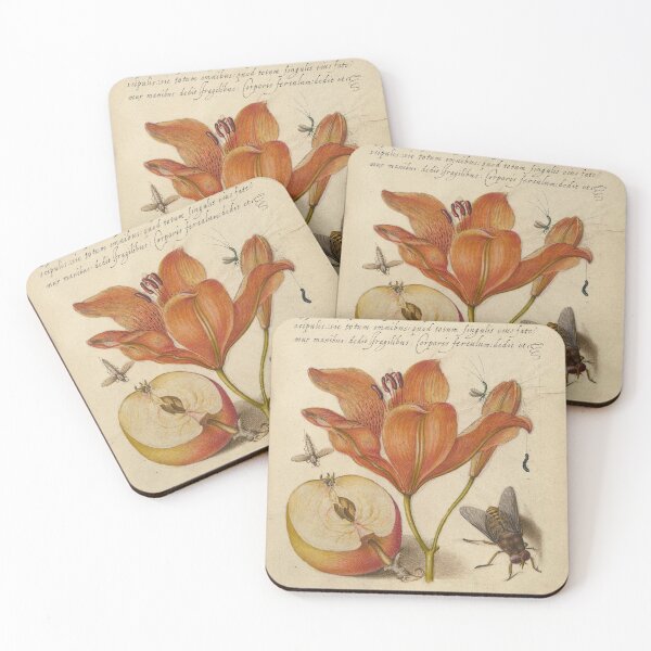Item preview, Flower, Insects, and Calligraphy Illustration designed and sold by Naturalist Prints.