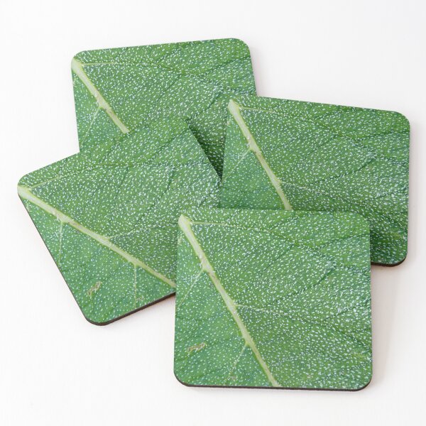 Item preview, White Frost on a Green Leaf designed and sold by denis-romanov.
