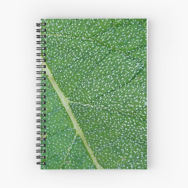 Item preview, White Frost on a Green Leaf designed and sold by denis-romanov.