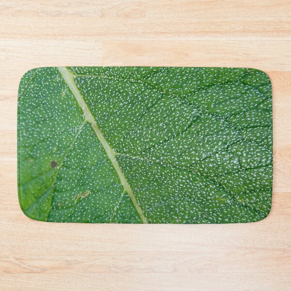 Item preview, White Frost on a Green Leaf designed and sold by denis-romanov.