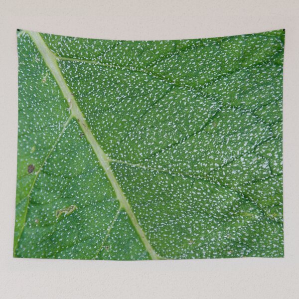 Item preview, White Frost on a Green Leaf designed and sold by denis-romanov.