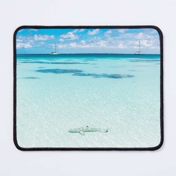 Item preview, Requin Baladeur designed and sold by Polynesian Islands.