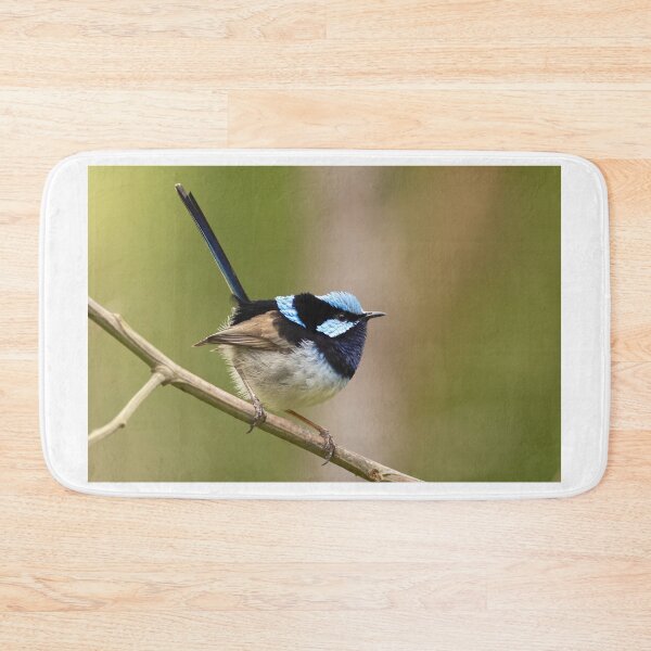 Item preview, Superb Fairy Wren designed and sold by David  Hibberd.