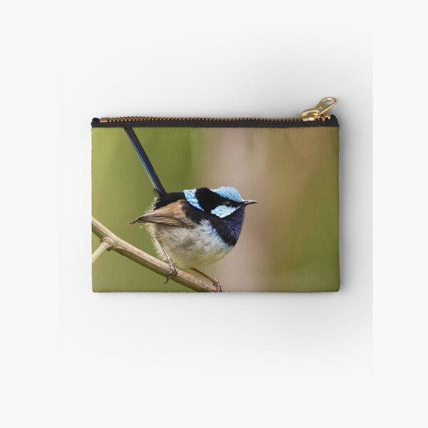 Artikelvorschau, Superb Fairy Wren entworfen und verkauft von David Hibberd.
