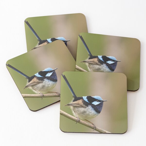 Artikelvorschau, Superb Fairy Wren entworfen und verkauft von David  Hibberd.