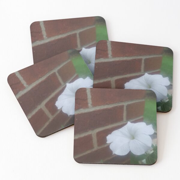 Item preview, White Petunia and a Red Brick Wall designed and sold by Flyaways.