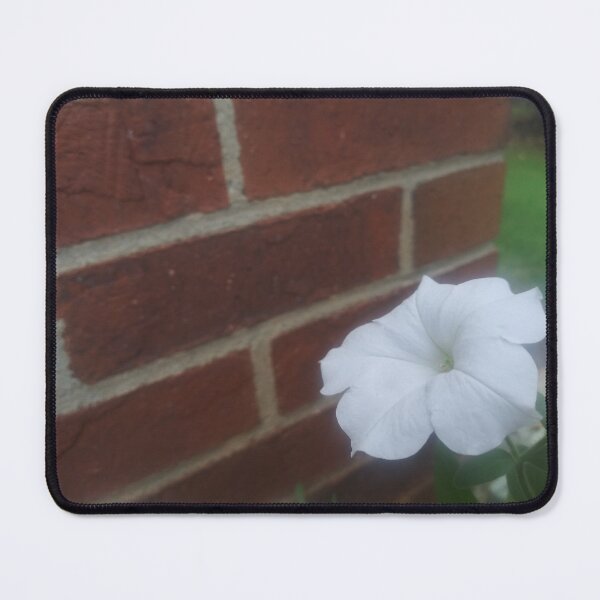 Item preview, White Petunia and a Red Brick Wall designed and sold by Flyaways.