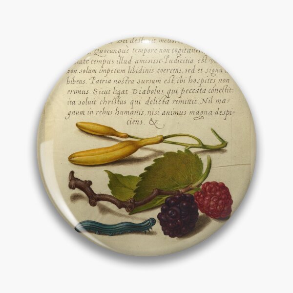 Item preview, Naturalist Manuscript: Berries, Insects, and Calligraphy Illumination by Joris Hoefnagel  designed and sold by Naturalist Prints.