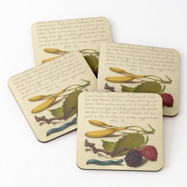 Item preview, Naturalist Manuscript: Berries, Insects, and Calligraphy Illumination by Joris Hoefnagel  designed and sold by Naturalist Prints.