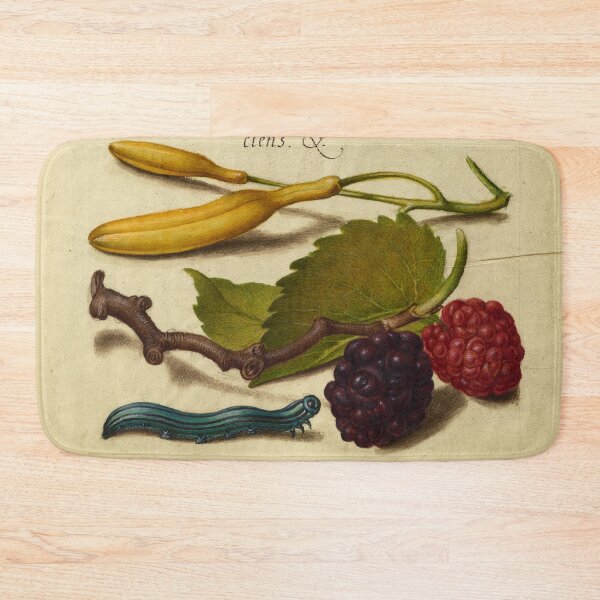 Item preview, Naturalist Manuscript: Berries, Insects, and Calligraphy Illumination by Joris Hoefnagel  designed and sold by Naturalist Prints.
