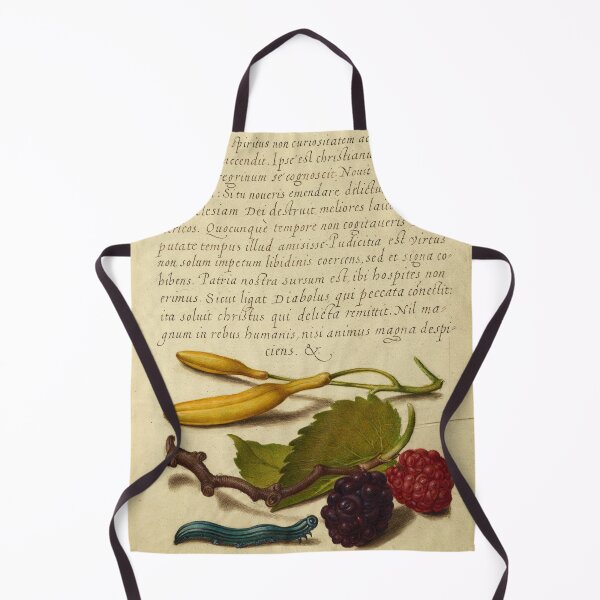 Item preview, Naturalist Manuscript: Berries, Insects, and Calligraphy Illumination by Joris Hoefnagel designed and sold by Naturalist Prints.