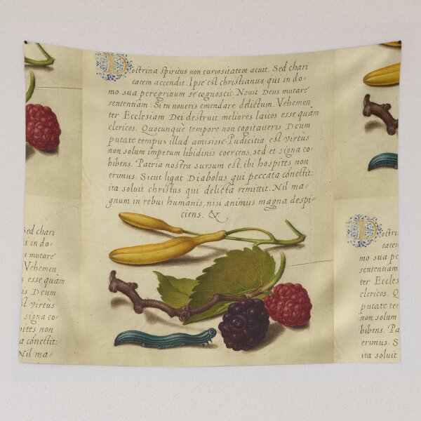 Item preview, Naturalist Manuscript: Berries, Insects, and Calligraphy Illumination by Joris Hoefnagel  designed and sold by Naturalist Prints.