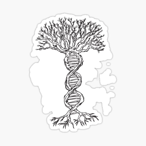 Dna Symbols And Family Trees