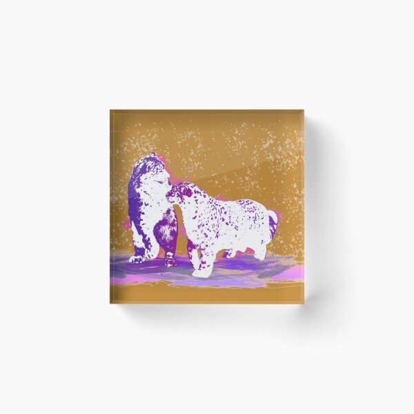 Affectionate Snow Leopards Acrylic Block