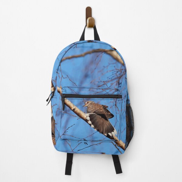 Item preview, Tail wide. European turtle dove designed and sold by Jouko Lehto Photography.