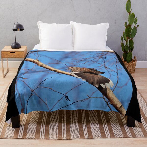 Item preview, Tail wide. European turtle dove designed and sold by Jouko Lehto Photography.