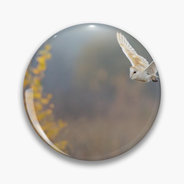 Item preview, Barn Owl (Tyto alba) designed and sold by Richard Nicoll Photography.