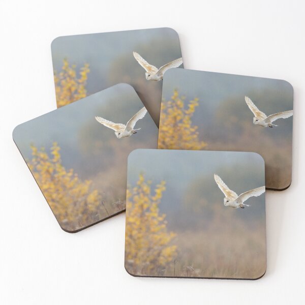 Item preview, Barn Owl (Tyto alba) designed and sold by Richard Nicoll Photography.