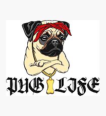 PUG LEBEN Fotodruck