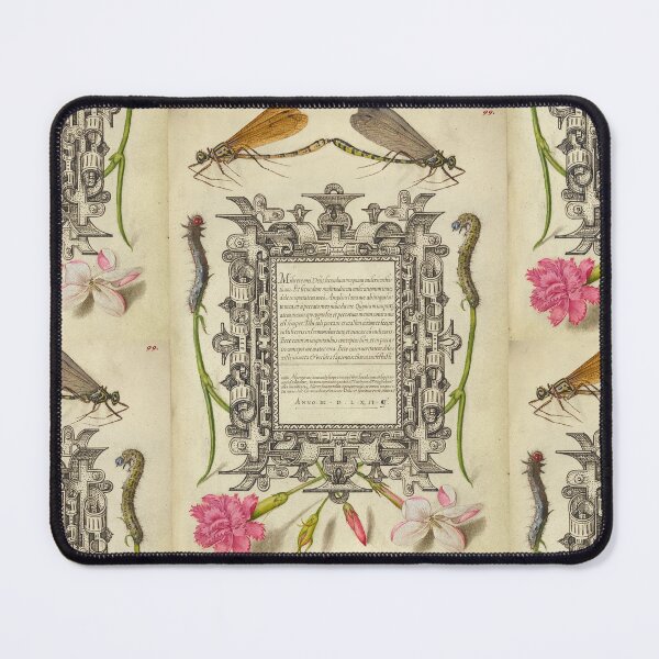 Item preview, Naturalist Manuscript: Flowers, Insects, and Calligraphy Illumination by Joris Hoefnagel designed and sold by Naturalist Prints.