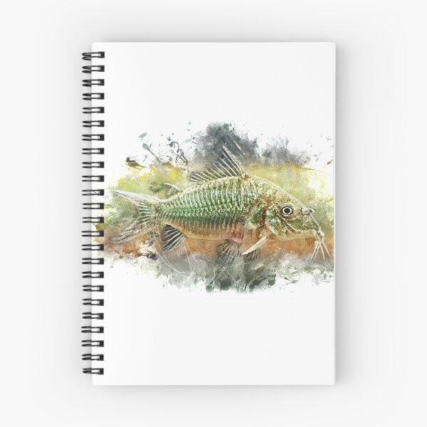 Item preview, Emerald armored catfish - Brochis splendens designed and sold by AquariumLutter.