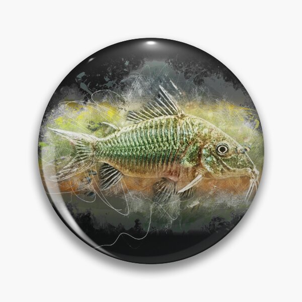 Item preview, Emerald armored catfish - Brochis splendens designed and sold by AquariumLutter.