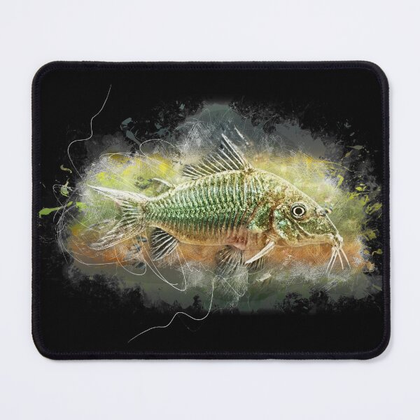 Item preview, Emerald armored catfish - Brochis splendens designed and sold by AquariumLutter.