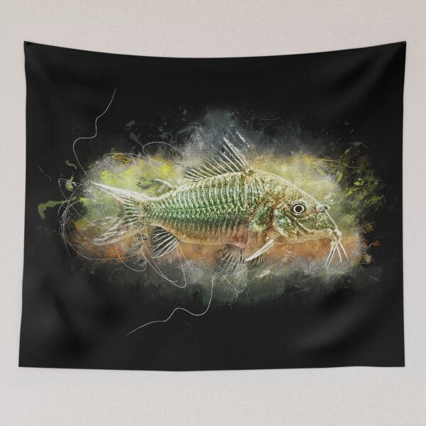Item preview, Emerald armored catfish - Brochis splendens designed and sold by AquariumLutter.