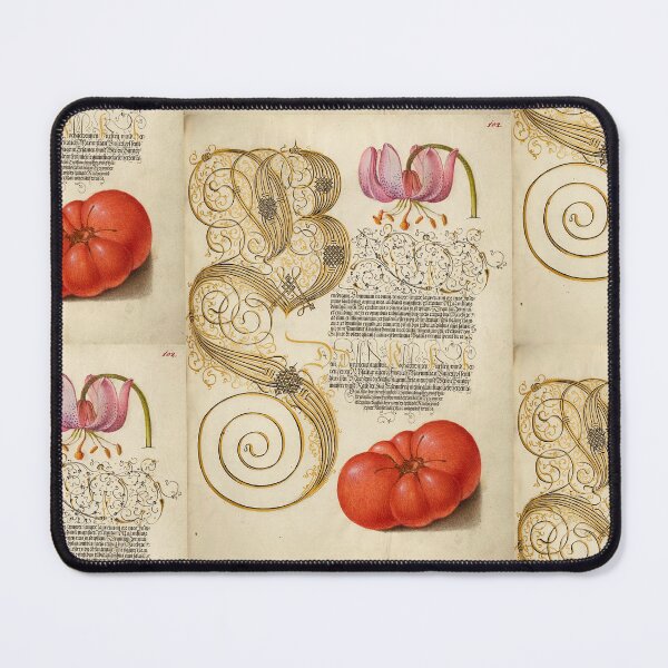 Item preview, Naturalist Manuscript: Tomato, Flower, and Calligraphy Illumination by Joris Hoefnagel designed and sold by Naturalist Prints.