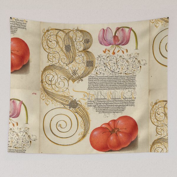 Item preview, Naturalist Manuscript: Tomato, Flower, and Calligraphy Illumination by Joris Hoefnagel  designed and sold by Naturalist Prints.