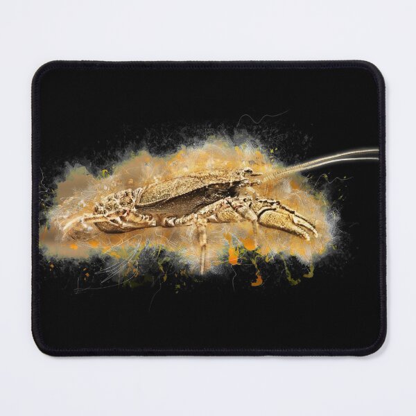 Item preview, Crab Crab - Aegla platensis designed and sold by AquariumLutter.