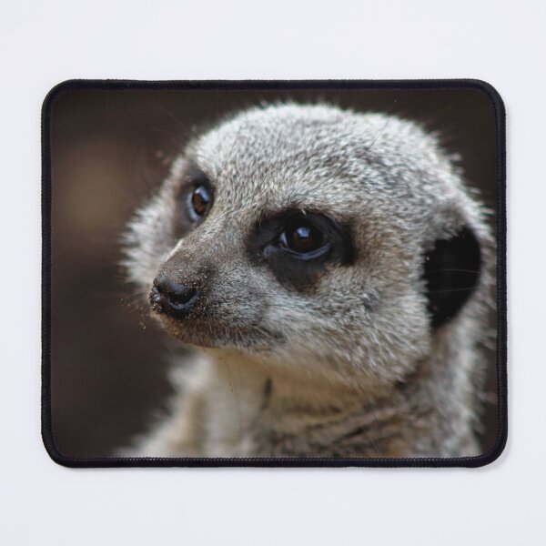 Item preview, Meerkat Portrait designed and sold by Ladymoose.