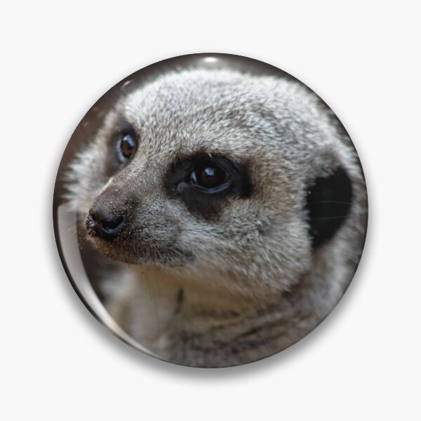 Item preview, Meerkat Portrait designed and sold by Ladymoose.