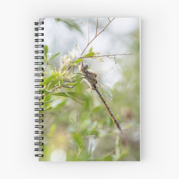 Item preview, Dragonfly Resting on a Tree Branch designed and sold by ethanabey.