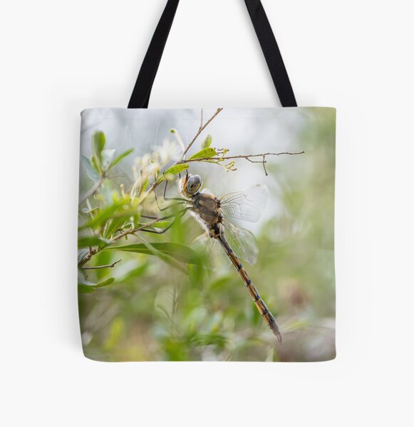 Item preview, Dragonfly Resting on a Tree Branch designed and sold by ethanabey.
