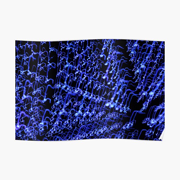 blue Poster