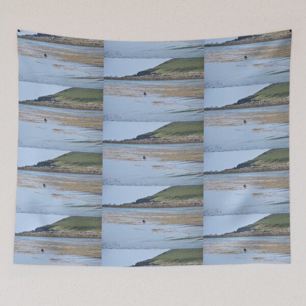 Item preview, Seal In The Isles Of Scilly designed and sold by Malcolm Snook.