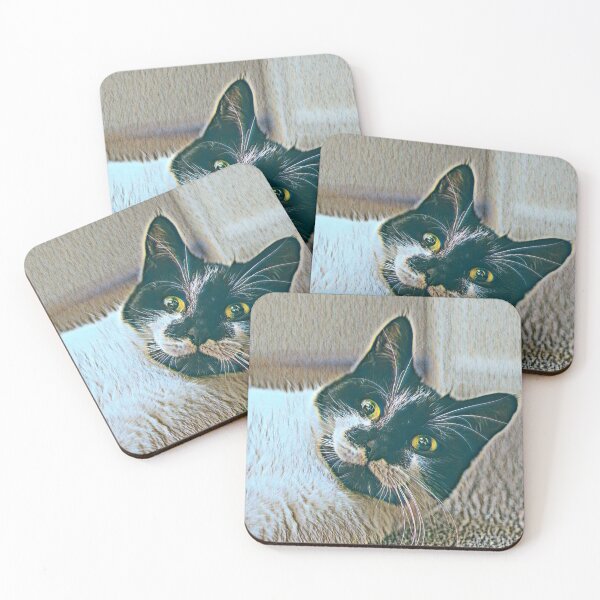 Item preview, Startled Cat designed and sold by Ireland Photography.
