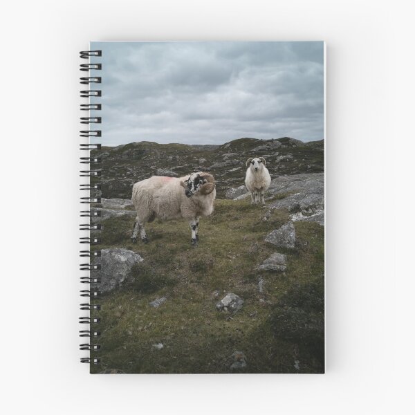 Item preview, Tup & Ewe designed and sold by AmyHuntPhotos.