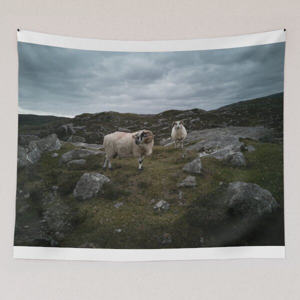 Item preview, Tup & Ewe designed and sold by AmyHuntPhotos.