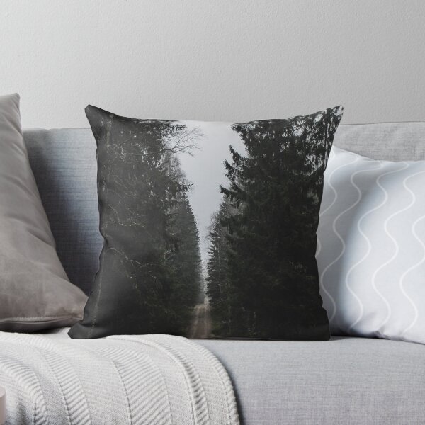 Passage XI Throw Pillow