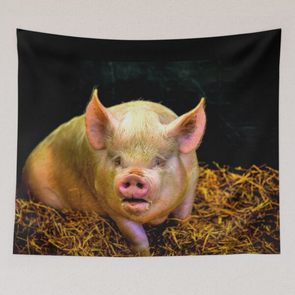 Item preview, Who Are You Calling A Pig? designed and sold by Paul Thompson Photography.