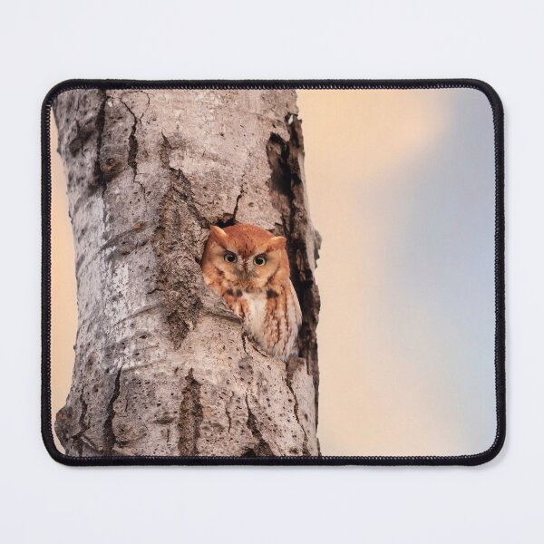 Item preview, Red morph Screech Owl designed and sold by James Cumming.