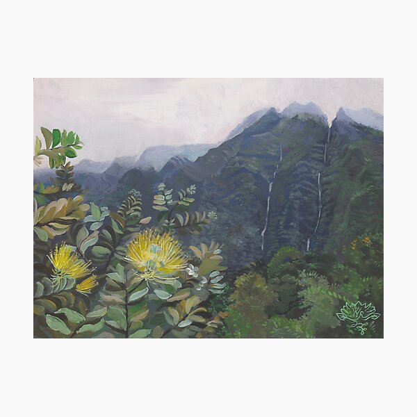 Koolau Ohia Mamo Photographic Print
