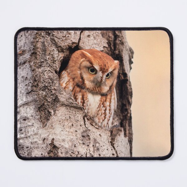 Item preview, Red morph Screech Owl designed and sold by James Cumming.