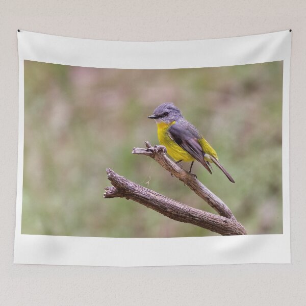 Item preview, Petirrojo amarillo del este 2 designed and sold by Stephen Ruane.
